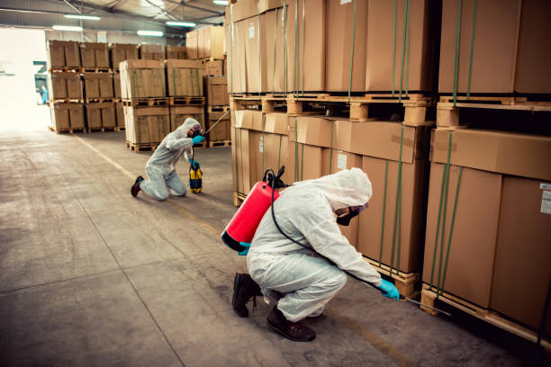 Best Wildlife Control Services  in Jasonville, IN