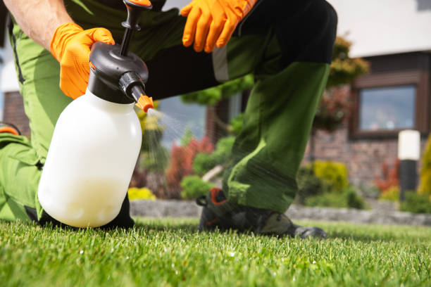 Best Commercial Pest Control Services  in Jasonville, IN