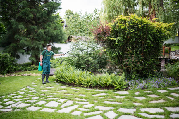 Best Local Pest Control Services  in Jasonville, IN