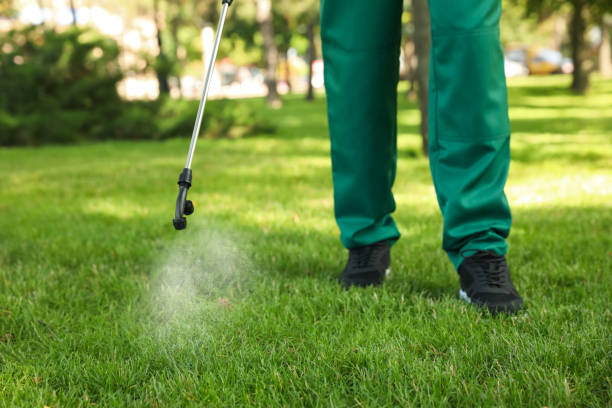 Reliable Jasonville, IN Pest Control Solutions