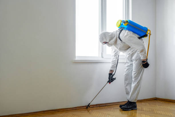 Best Exterminator Services  in Jasonville, IN