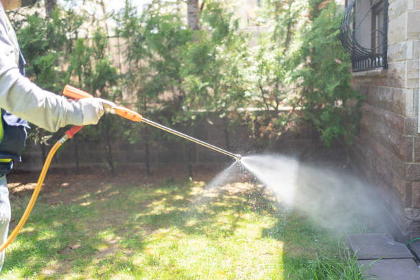 Wildlife Control Services in Jasonville, IN