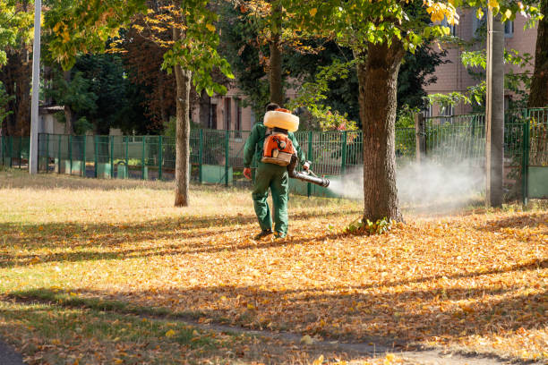 Best Best Pest Control Companies  in Jasonville, IN