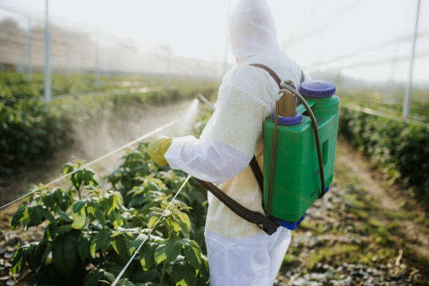 Best Residential Pest Control  in Jasonville, IN